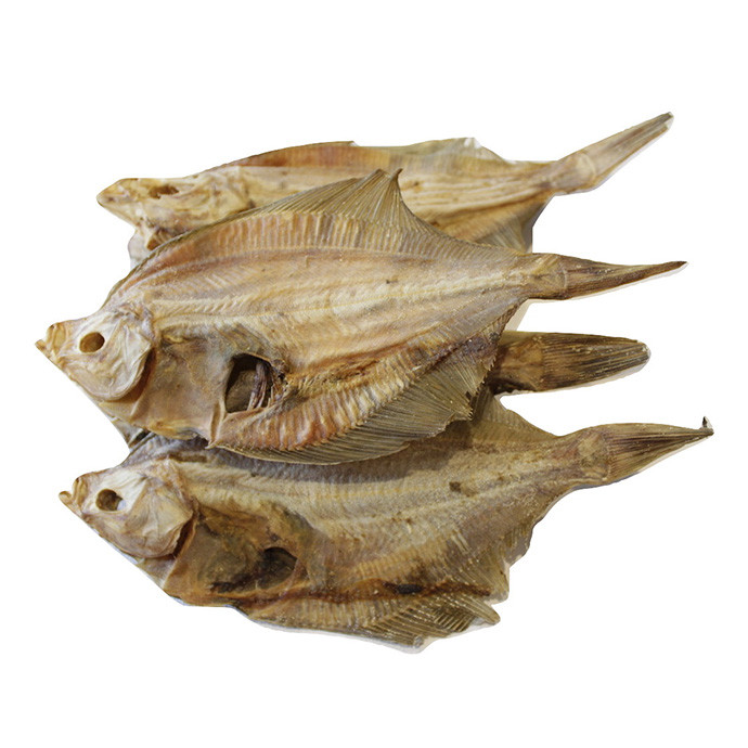 1603206867morsky platys 2.jpg